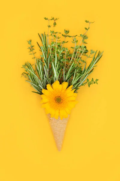 Surrealistický Letní Zmrzlinový Vaflový Kornout Jedlou Květinou Čerstvými Bylinkami Minimální — Stock fotografie