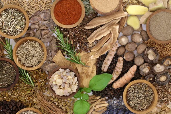 Médecine Alternative Nerveuse Nourriture Santé Phytothérapie Grande Collection Herbes Aliments — Photo