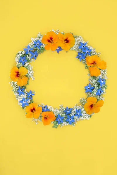 Summer wreath of healing flowers, herbs and wildflowers for natural alternative remedies. Treats cold and flu. Herbal plant medicine. Minimal design on yellow background.