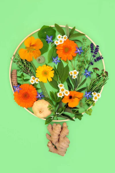 Surreal Letní Květiny Bylinné Stromy Koncept Tvar Flóra Používaná Rostlinolékařství — Stock fotografie