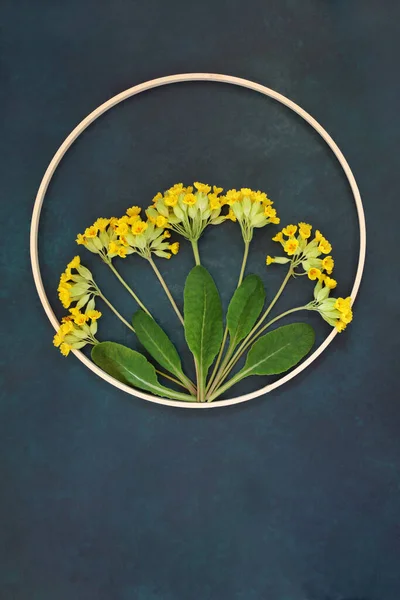 Cowslip Wildflower Diseño Abstracto Naturaleza Con Marco Corona Madera Redonda — Foto de Stock