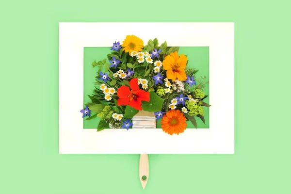 画框内画有夏花 香草和可食用野花的超现实油画 摘要绿色背景下的最小生态友好自然保健食品设计概念 平躺在床上 — 图库照片