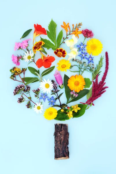 Surrealistická Letní Květina Planě Rostoucí Bylinné Stromy Koncept Flóry Používané — Stock fotografie