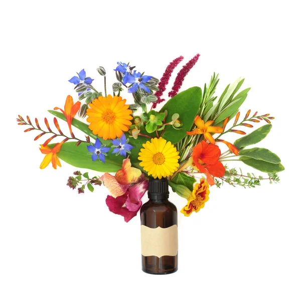アブストラクト夏の花 野生の花やアロマセラピーエッセンシャルオイルボトルとハーブの配置 超自然ハーブ植物医学花の性質白い背景に低い救済組成概念 — ストック写真