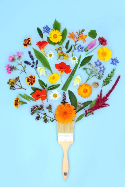 Surreal Paintbrush Splash Concept Summer Flowers Wildflowers Herbs Medicinal Herbal — Stock Photo, Image