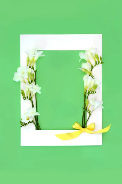 Jarní Pozadí Hranice Květinami Freesia Abstrakt Zelené Bílým Rámečkem Minimální — Stock fotografie