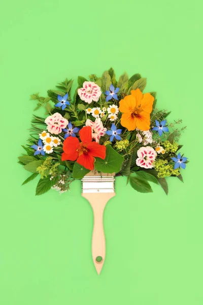 Szürreális Festmény Nyári Virágok Vadvirágok Gyógynövények Koncepció Ecsettel Absztrakt Minimális — Stock Fotó