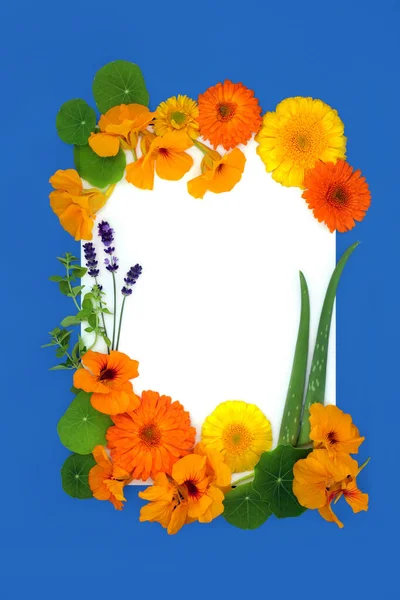 Curando Flores Comestíveis Ervas Para Ervas Naturais Fitoterápicos Para Remédio — Fotografia de Stock