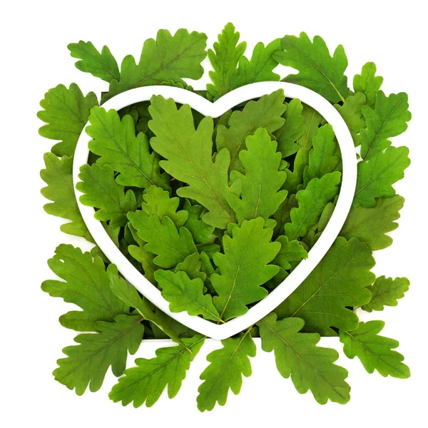 Miljövänlig Löv Symbol Med Hjärta Form Ram Grönt Älskar Träden — Stockfoto