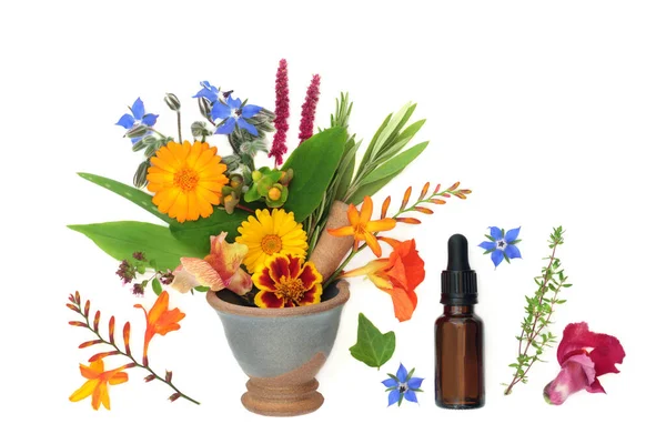 夏季花卉 野花和草药用于芳香疗法 精油处理和天然草本植物药物 在装有药瓶的砂浆中 白花的自然保健概念 — 图库照片