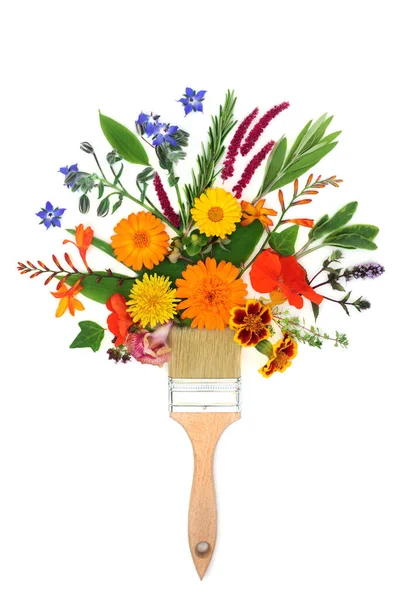 本物の夏の花やハーブペイントブラシスプラッシュ組成 ハーブ植物医学や花の治療に使用される天然植物 白い背景に抽象的な自然健康管理の概念 — ストック写真