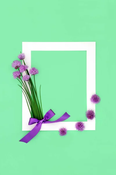 Edible chives herb flower minimal background border with purple bow. Natural, organic food seasoning, local home grown produce. Used also in herbal medicine. On green, white frame.