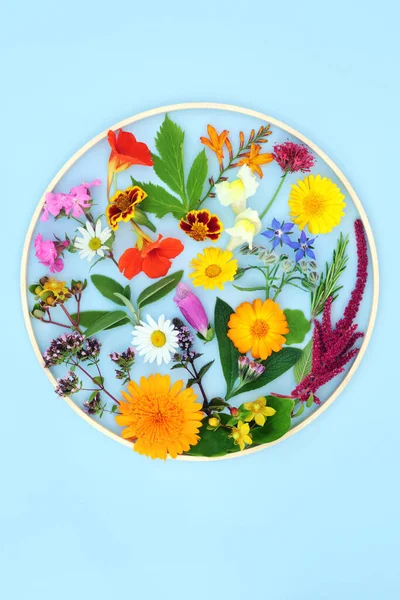 Nyári Virágok Vadvirágok Gyógynövények Használt Természetes Növényi Gyógyszer Alternatív Ehető — Stock Fotó