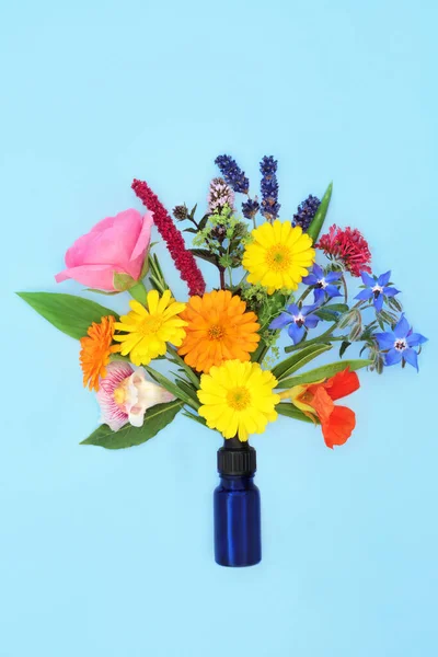 Gerçeküstü Yaz Çiçekleri Doğal Bitkisel Ilaç Tedavileri Için Gerekli Aromaterapi — Stok fotoğraf