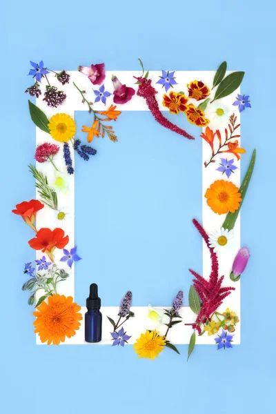 Flore Naturelle Pour Les Huiles Essentielles Aromathérapie Remède Floral Alternatif — Photo