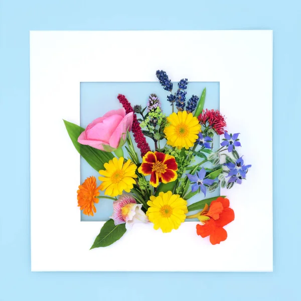Letní Květiny Divoké Květiny Byliny Abstraktní Pozadí Rámeček Flóra Používaná — Stock fotografie