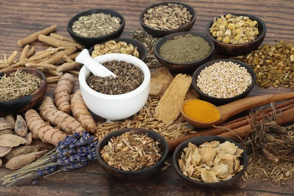 Recolección Alimentos Naturales Nerviosos Medicina Herbal Para Relajar Nutrir Sistema — Foto de Stock