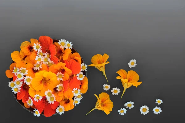 Horečka Neštovice Květin Pro Bylinné Rostlinné Medicíny Výzdoba Potravin Čaj — Stock fotografie