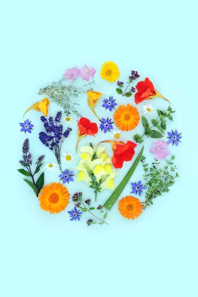 Herbs and flowers for alternative plant based skincare beauty treatment. Can ease psoriasis, eczema, acne and wounds. Natural floral healthcare circular design for logo on blue background.