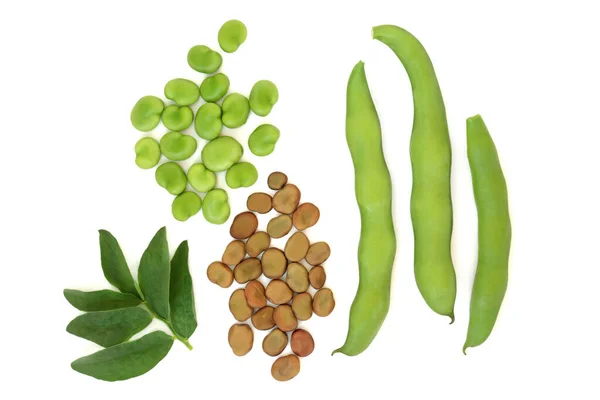 宽豆类豆科植物干了 当地鲜嫩的农产品有叶子 蛋白质 叶酸盐和维生素B含量高的蔬菜可以降低高胆固醇水平 白色背景 — 图库照片