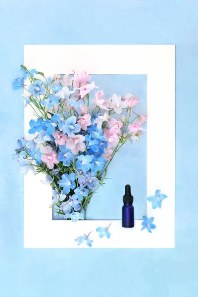 含药瓶的药用药用药用药用药用药草 夏季植物区系自然花卉补品组成 用作镇静剂和食欲差 浅蓝色的白色相框 — 图库照片