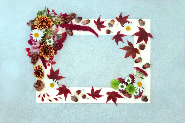 Abstrakt Höst Och Thanksgiving Arrangemang Blad Och Blommor Bakgrund Natur — Stockfoto