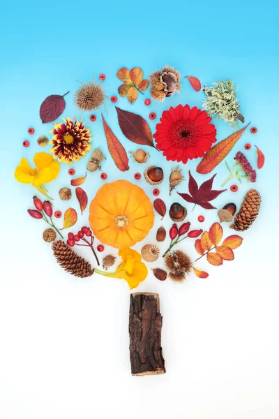 Herfst Thanksgiving Abstracte Boomvorm Ontwerp Met Bladeren Bloemen Bessen Fruit — Stockfoto