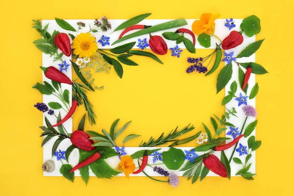 Bylinkové Koření Poživatelná Sbírka Květin Pro Ochucení Potravin Zdravé Organické — Stock fotografie