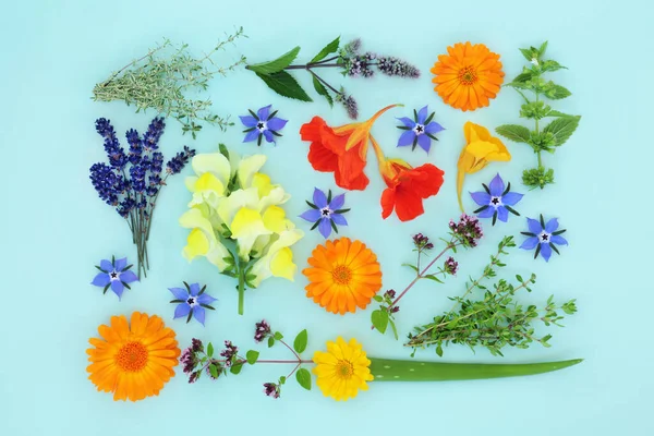 夏季草药和花卉用于天然芳香疗法植物为基础的护肤美容治疗 可以缓解银屑病 痤疮和伤口 蓝色背景的天然花卉化妆品保健 — 图库照片