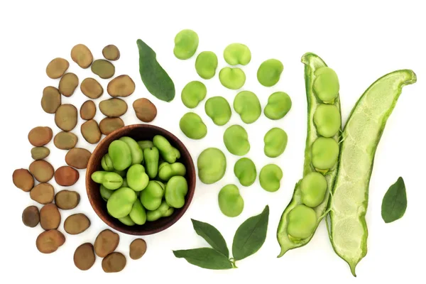Broad Bean Legumes Health Food Dried Fresh Leaves High Protein — Stock Photo, Image