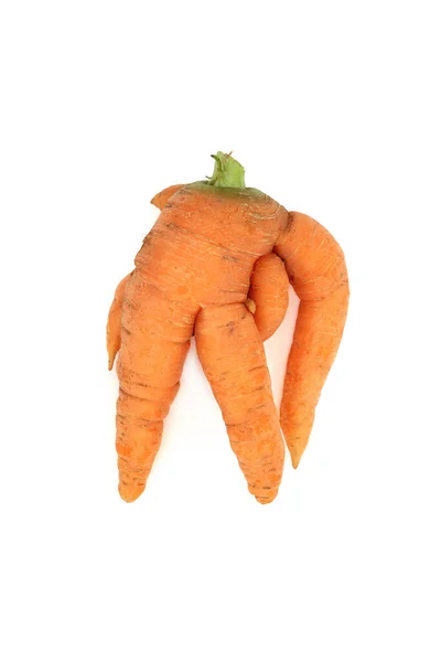 Скручений Деформований Потворний Морквяний Овоч Білому Тлі Через Надмірний Полив — стокове фото
