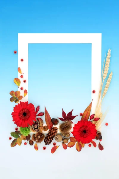 Levendige Herfst Thanksgiving Achtergrond Frame Met Rode Bladeren Bloemen Natuur — Stockfoto