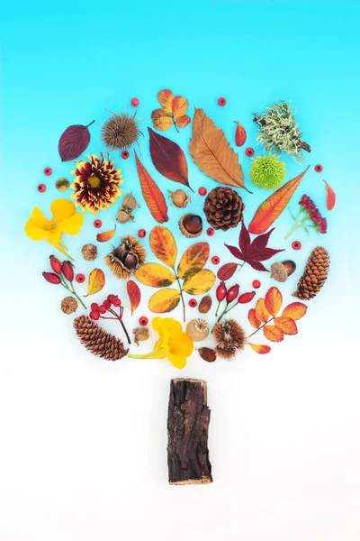 Abstraktes Herbst Und Erntedankbaumdesign Mit Blättern Blüten Beerenfrüchten Nüssen Und — Stockfoto