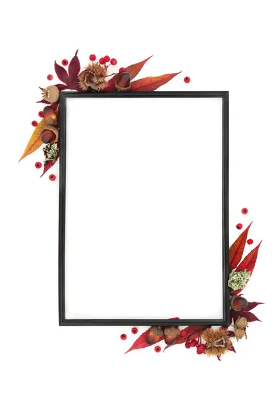 Осень День Благодарения Абстрактная Цветочная Рамка Листьями Ягодами Орехами Природа — стоковое фото