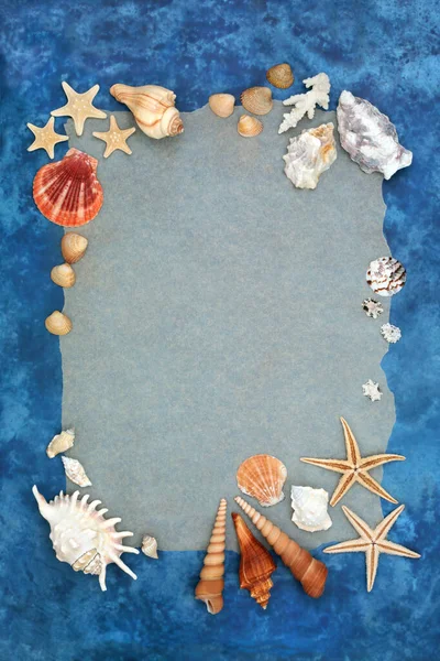 Seashell Cadre Fond Abstrait Sur Fond Bleu Marbré Naturel Beau — Photo