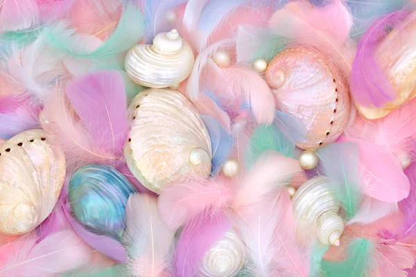 Mother Pearl Seashells Feathers Oyster Pearls Abstract Beautiful Nature Background — Stock Photo, Image