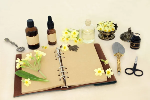 Primula Flores Para Remédios Alternativos Naturais Com Notebook Caneta Pena — Fotografia de Stock