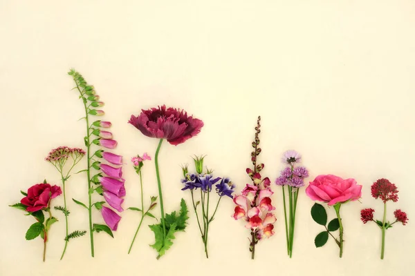 Angol Nyári Virágok Gyógynövények Használt Természetes Alternatív Gyógynövény Virágos Elrendezése — Stock Fotó