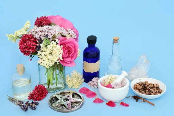 Alternatif Bitkisel Ilaçlarda Kullanılan Kediotu Kökü Gülü Yaşlısı Lavantasıyla Çiçekleri — Stok fotoğraf