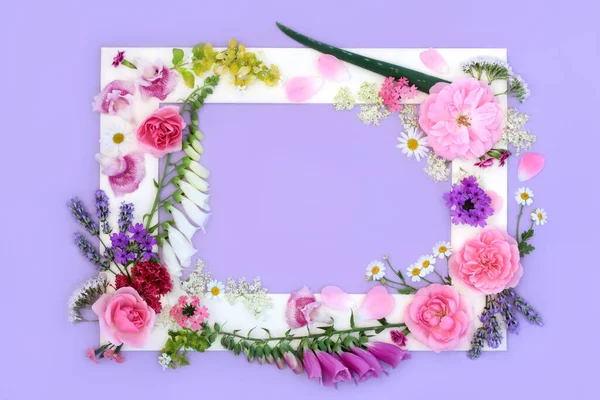 Medicinal summer flowers and wildflowers background frame with flora used in natural herbal medicine. Floral nature design with white border on purple.