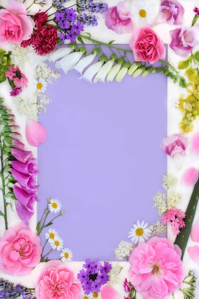 Flowers and wildflower background frame with medicinal flora used in natural herbal medicine. Summer nature design with white border on purple.