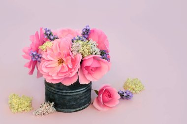 Gül, kediotu, yaşlı ve lavanta bitkilerinde kullanılan doğal bitkisel ilaçlarda kullanılan adaptojen çiçek ve bitkiler. Alternatif yatıştırıcı maddeler pembe arka planda.