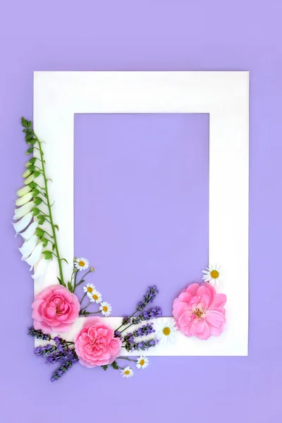 Summer flower decorative background border with rose, lavender, chamomile, daisy and  foxglove flowers. Floral medicinal nature seasonal design with white frame on purple.