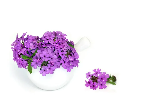 Verbena Herb Flowers Mortar Used Natural Herbal Medicine Sedative Treats — Stock Photo, Image