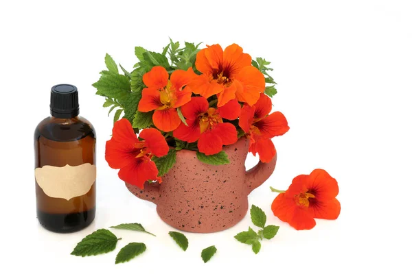 Nasturtium Citroenbalsem Bloemen Bladeren Met Essentiële Olie Fles Gebruikt Kruidengeneeskunde — Stockfoto