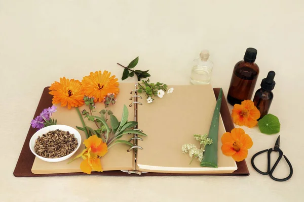 Přírodní Bylinná Medicína Bylinkami Květinami Notebooky Lahvičkami Vonných Silic Pro — Stock fotografie