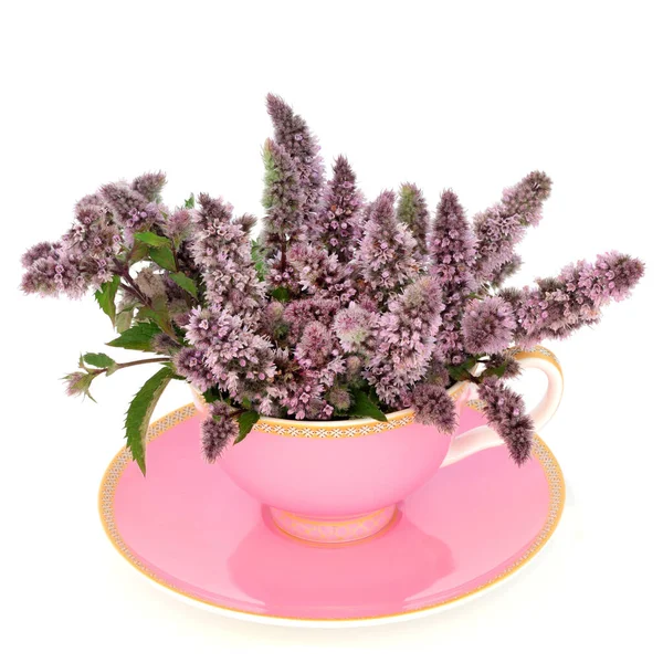 Peppermint Flower Leaf Tea Pink Teacup White Background Relieves Indigestion — Stock Photo, Image