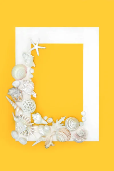Seashell background border with assorted white shells on yellow background with white frame. Minimal nature design with exotic and tropical varieties.
