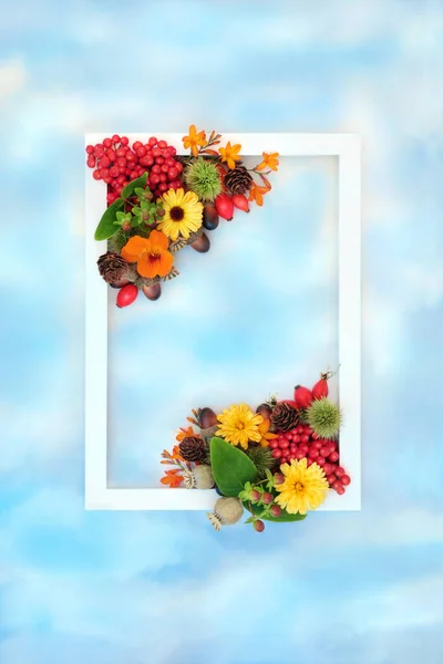 Autumn floral harvest festival fruit flower and nut background border with white frame on blue sky and cloud. Festive Thanksgiving fall seasonal nature concept for label, card, invitation.