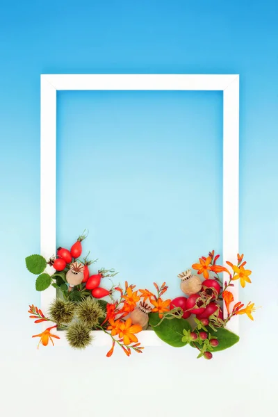 Levendige Herfst Thanksgiving Oogst Festival Bloemen Bladeren Bessen Fruit Noten — Stockfoto